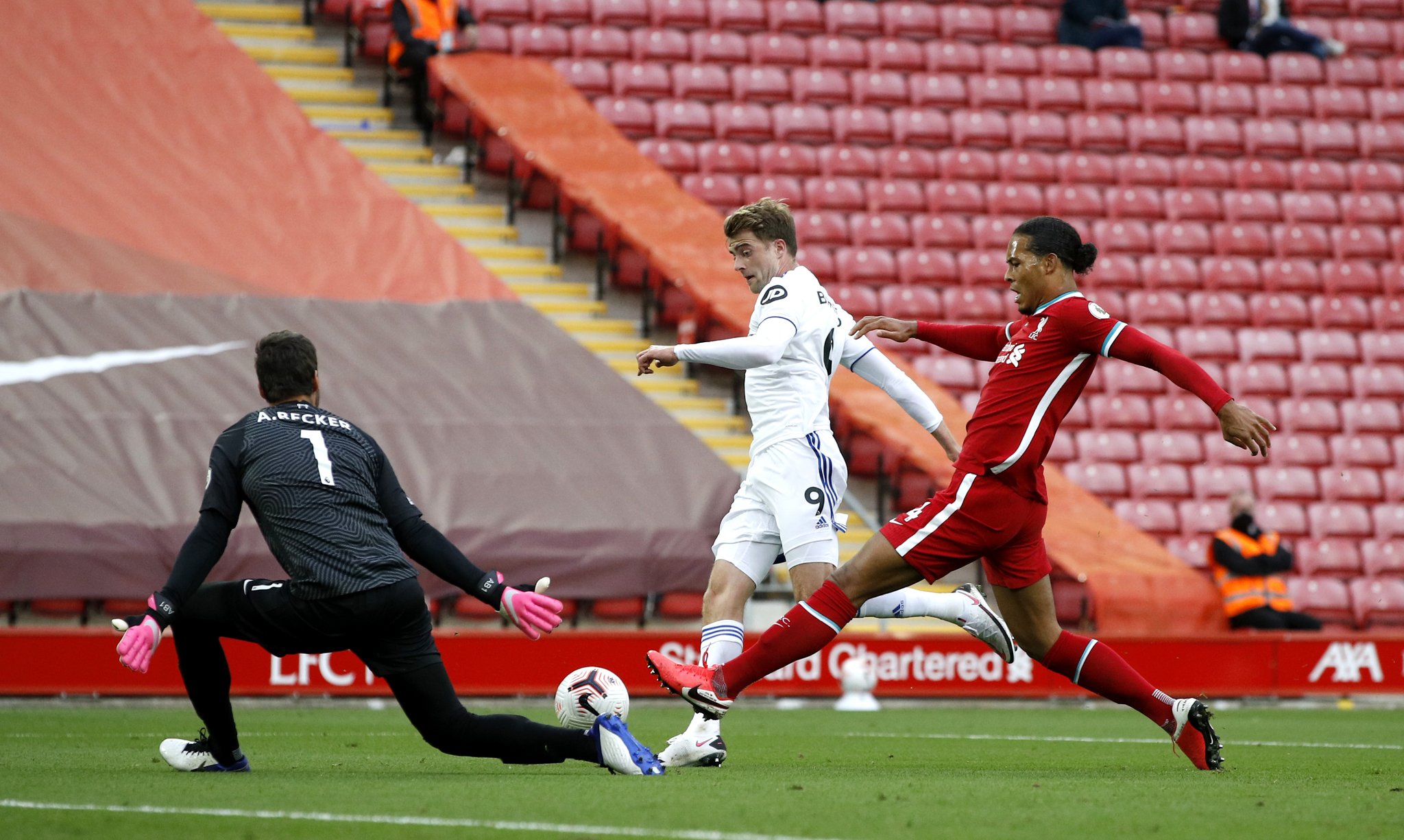 群体中的新 群体中的新